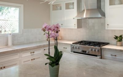 410516794_374844618291991_1808931733431876150_n